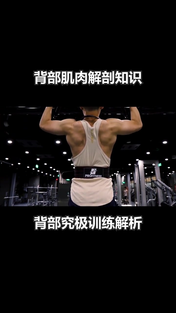背部的肌肉解剖知识