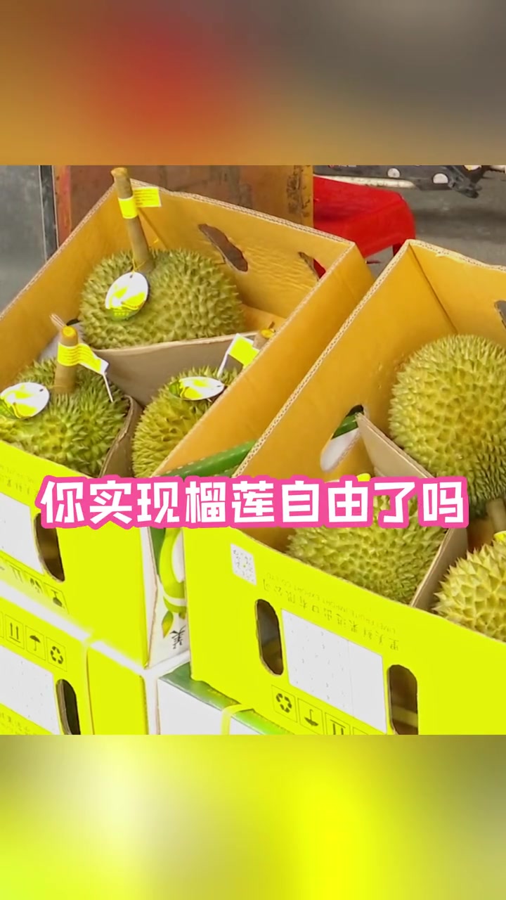 榴莲 价格 低至20多块一斤!你实现 榴莲自由 了吗?广州 水果 猫山王榴莲 市场
