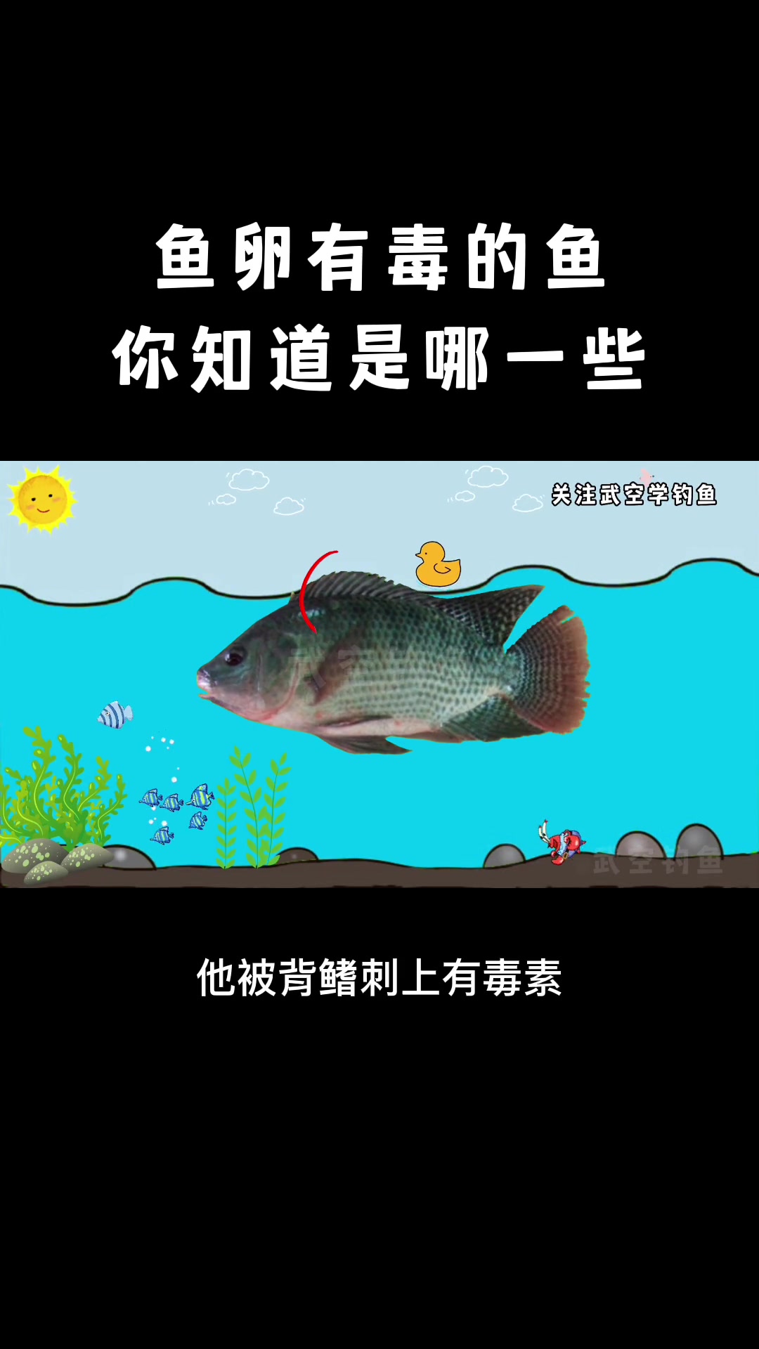 第9集|严重会致命的有毒淡水鱼,有的连鱼卵都是毒药 钓鱼 路亚 刘志强 王者之战