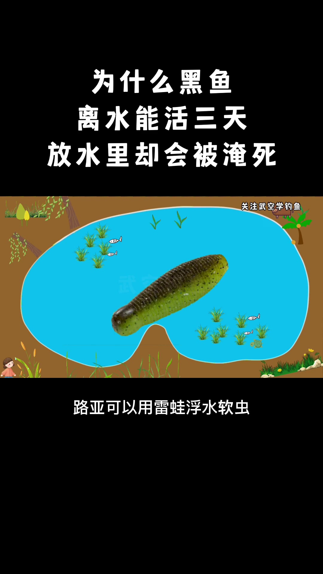 第8集|黑鱼:郭德纲老师说不能吃的淡水小猛兽,离水活3天,却居然会淹死 钓鱼