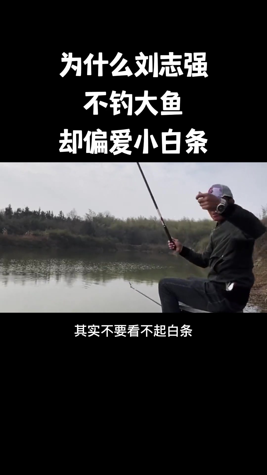 第6集|小白条鱼的习性、特点解析 钓鱼技巧
