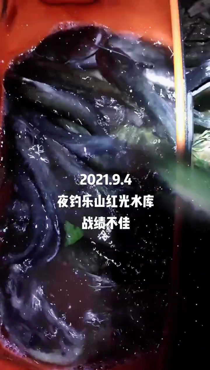第132集|女钓友 野钓 水库野钓 热门 夜钓 钓鱼 游钓中国 钓鱼人 护士懂护士 四川 