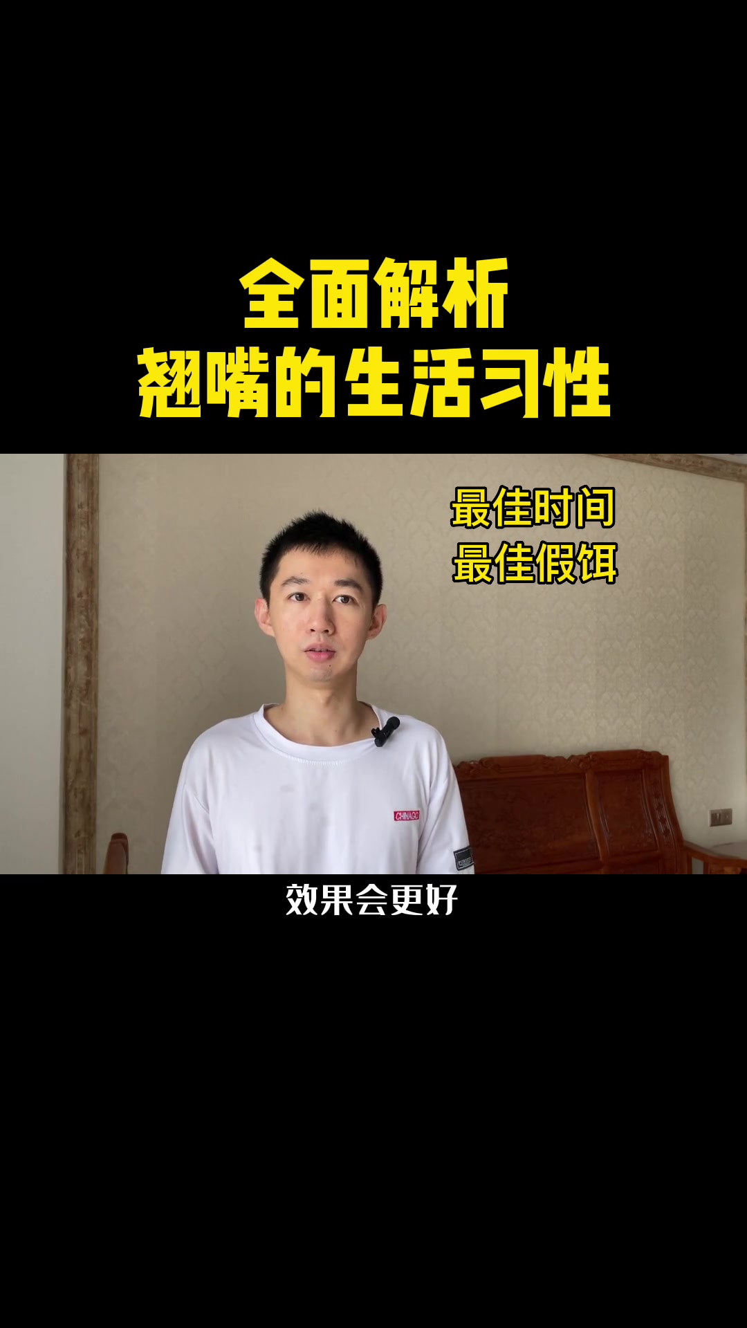 第2集|翘嘴生活习性大揭秘,路亚翘嘴用什么饵、怎么找标点、黄金季节时间表、手竿怎么钓翘嘴 