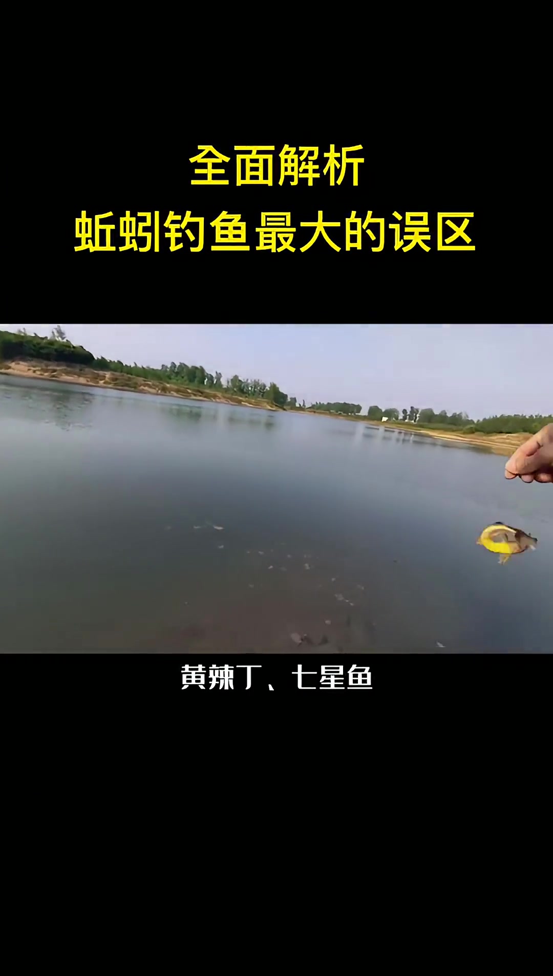 第1集|蚯蚓商品饵谁强?全面解析蚯蚓能钓什么鱼,优点与缺点 户外钓鱼 黄辣丁