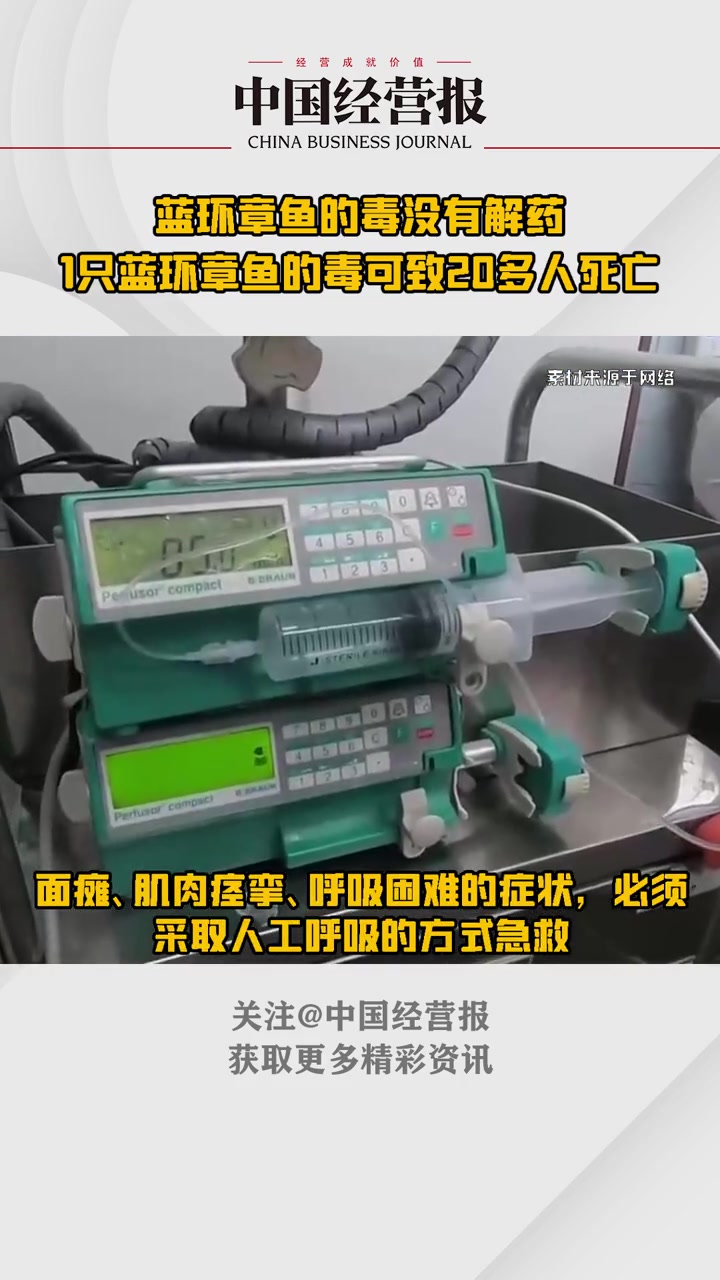 蓝环章鱼的毒没有解药!1只蓝环章鱼的毒可致20多人死亡 蓝环章鱼的毒没有解药 社会