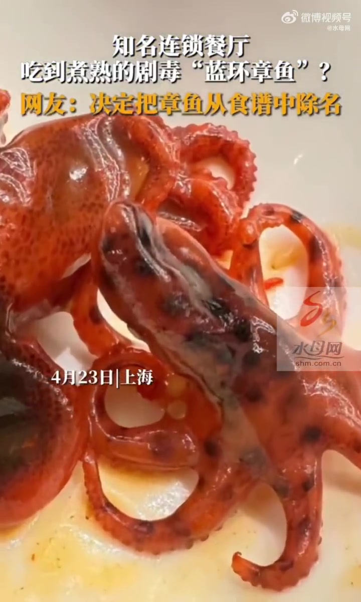「女子称在连锁餐厅吃到剧毒蓝环章鱼 这次是煮熟的!」近日,上海。一网友在吃日料餐厅前发现剧
