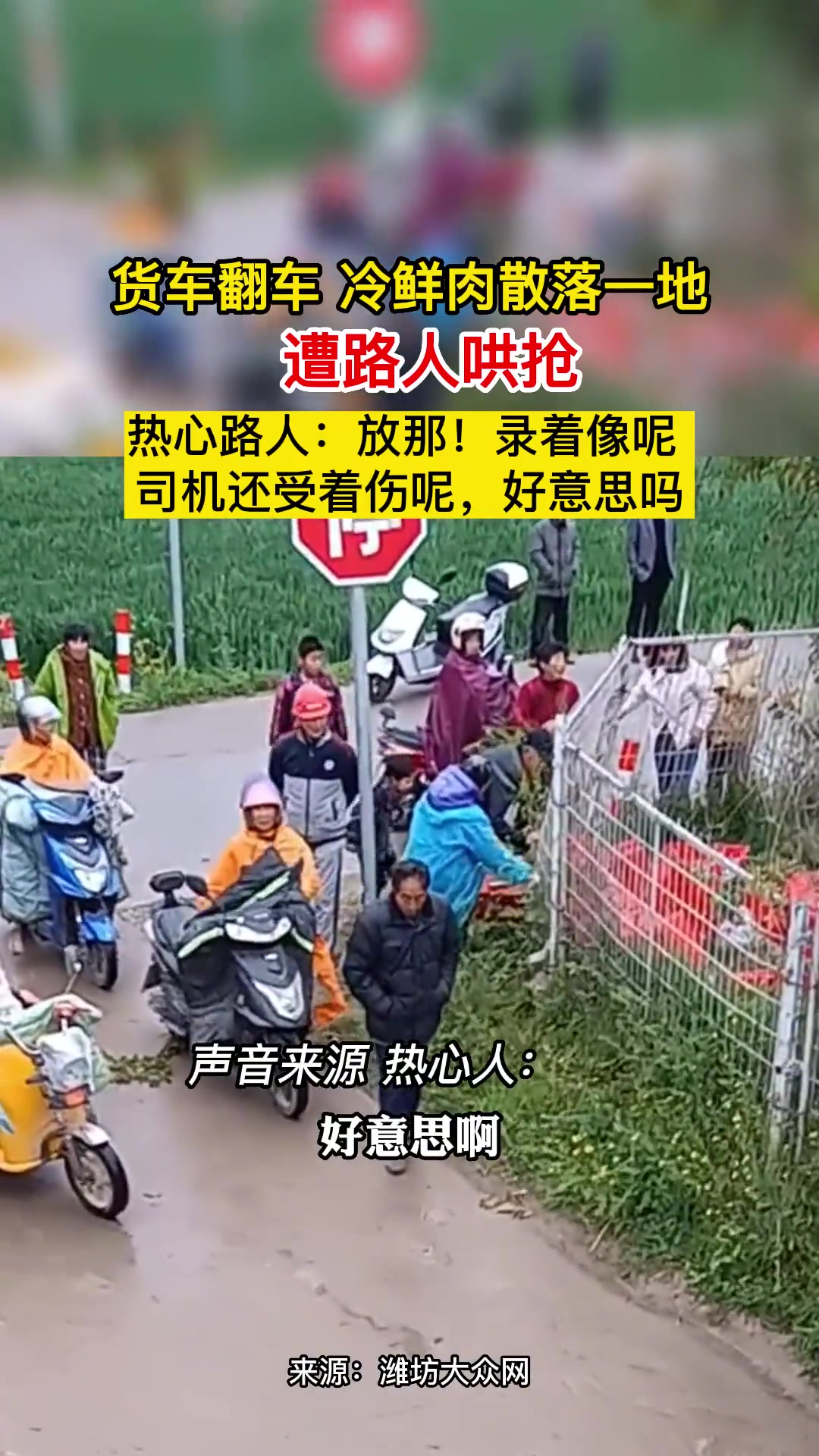 货车翻车冷鲜肉散落一地,遭路人哄抢。热心路人:放那!录着像呢,司机还受着伤呢,好意思吗?