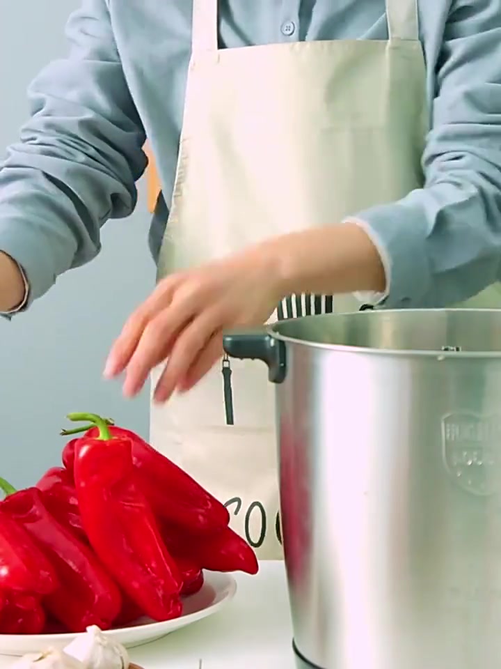 6l / 10l大容量绞肉机商用家用电动