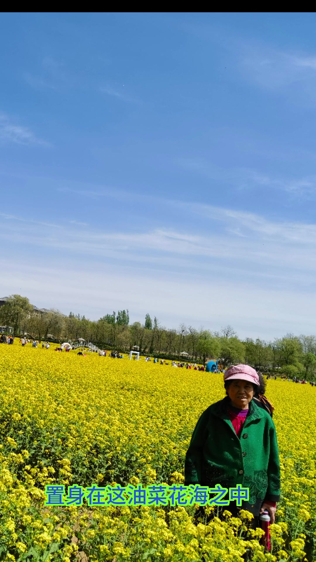 油菜花海治愈老妈抑郁的心情