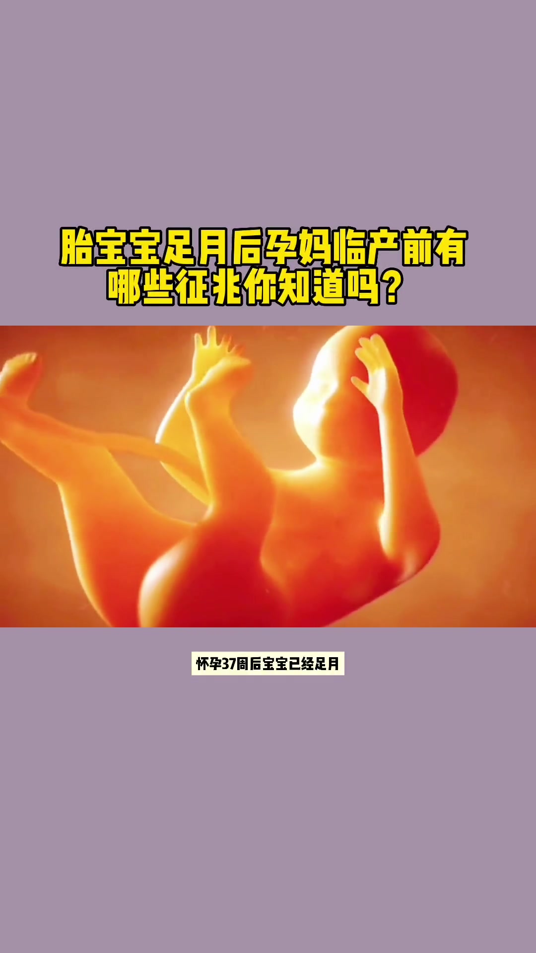 胎宝37周足月后,临产前的征兆你都知道吗?祝所有孕妈 好孕好孕 胎儿健康 产检一路绿灯 宝