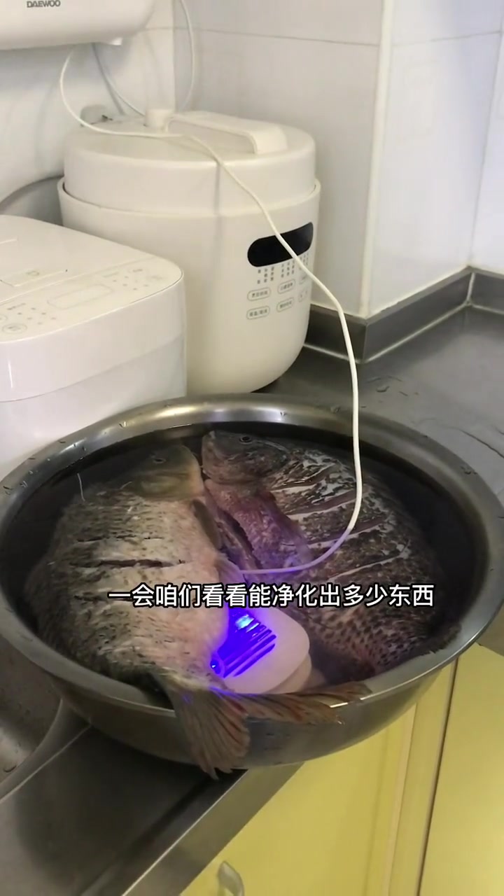 大宇三仓果蔬净化机,可以分解蔬菜水果的农药残留,和肉中的激素和瘦肉精 果蔬清洗机 好物推荐