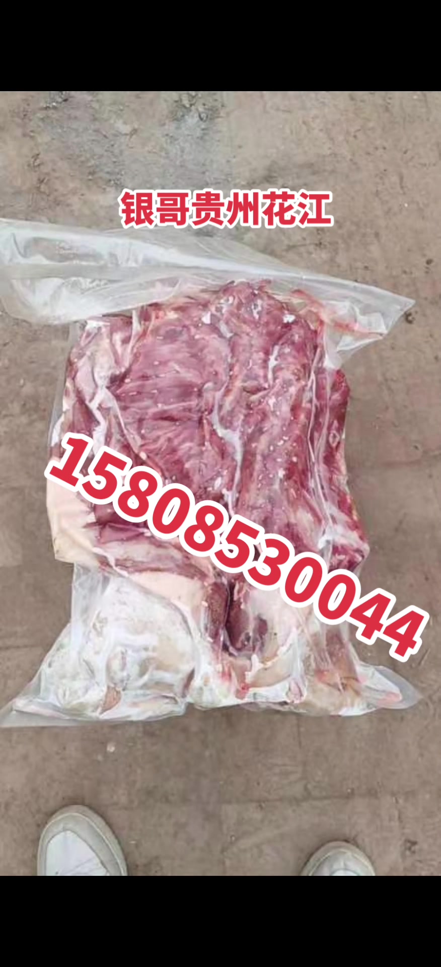 银哥贵州花江狗肉