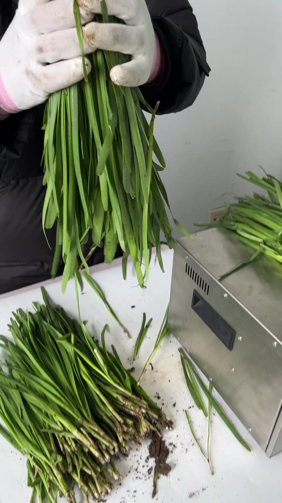 韭菜捆扎蔬菜捆扎机