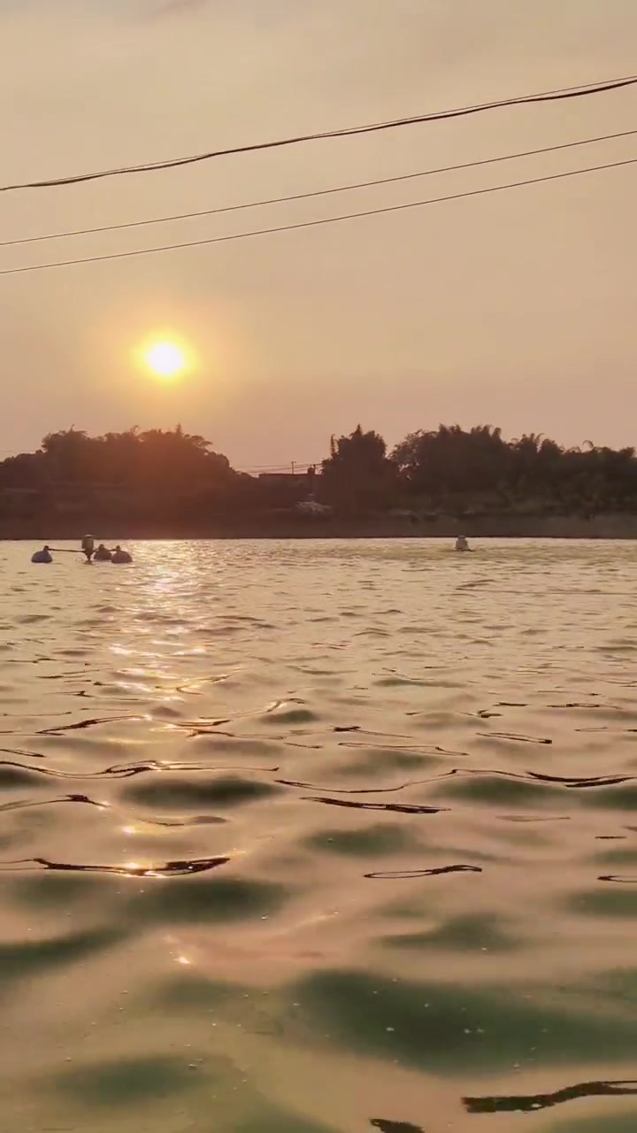 在38℃水温下的黄颡鱼(黄辣丁)吃料怎么样呢?黄颡鱼苗,适合水库,鱼塘,网箱养殖,生长速度