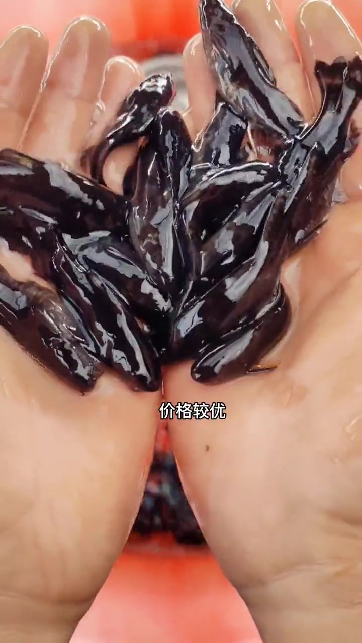 牛尾巴鱼,学名乌苏里拟鲿。水底层鱼类,杂食性鱼,体型修长颜色偏黄,(乌苏里鮠,牛尾巴鱼苗,