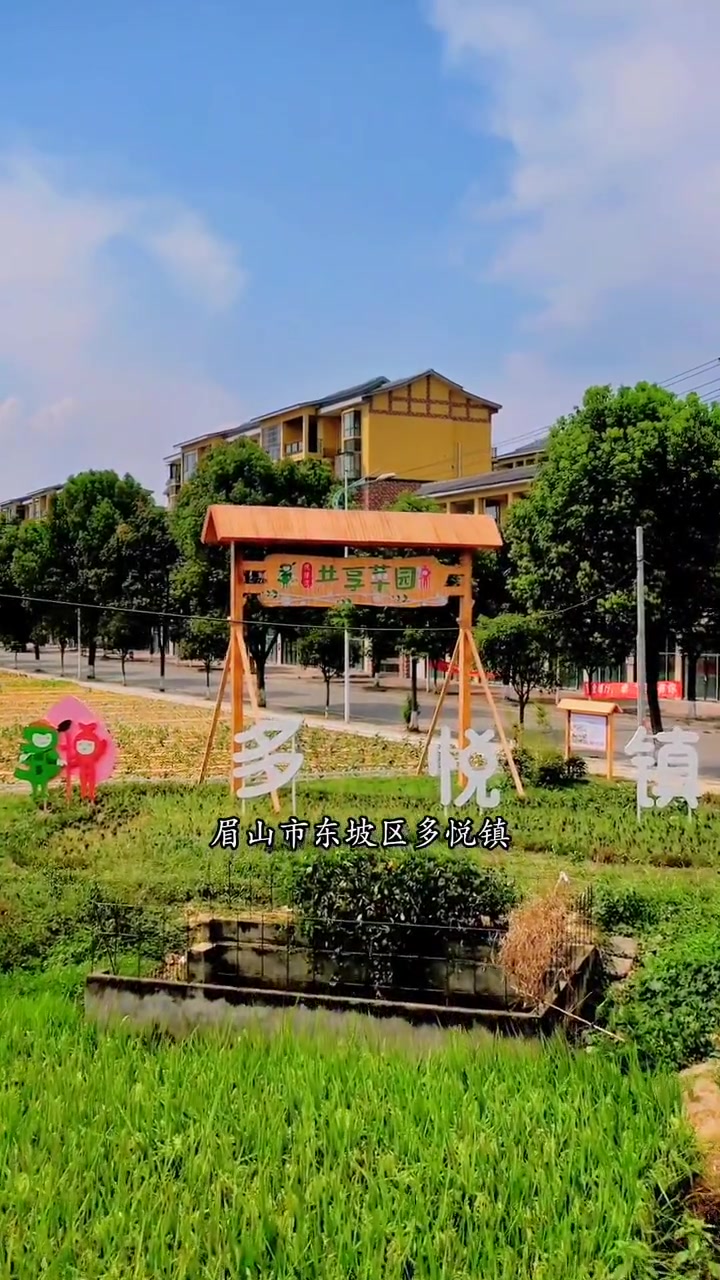 一人,三餐,四季。我和我的鱼塘 三农 航拍最美家乡 农村生活 鱼苗养殖基地