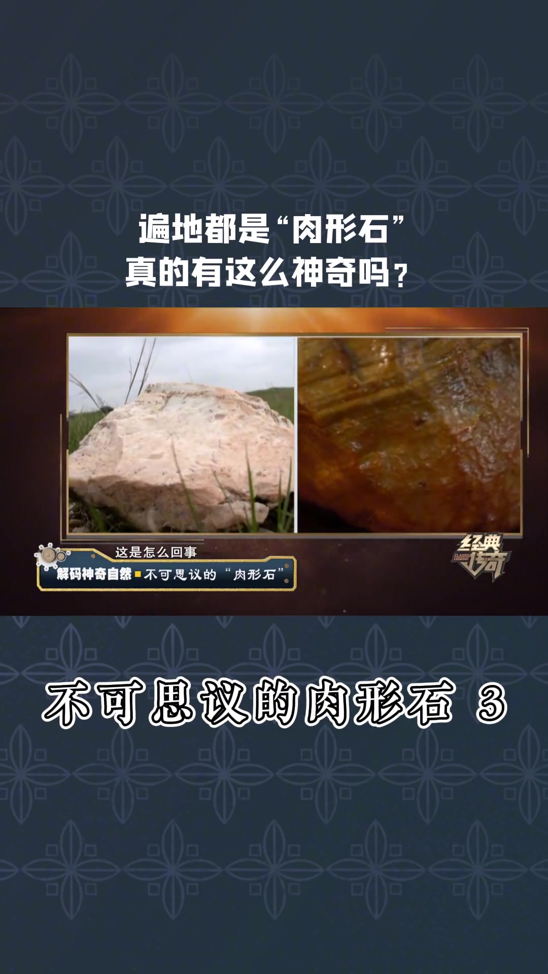 第275集|遍地都是“肉形石” 真的有这么神奇吗?经典传奇 国宝 自然奇观 奇石
