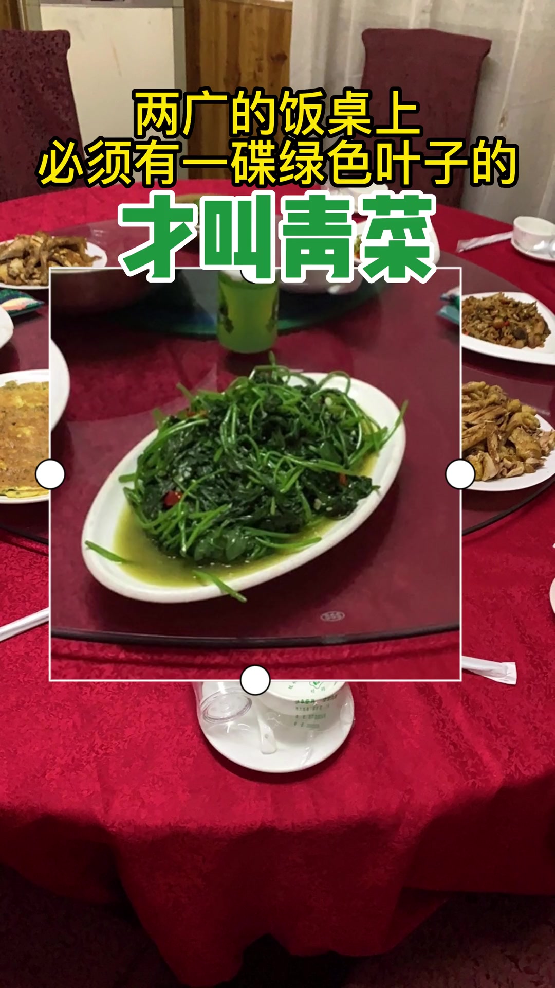 两广的饭桌上必须有一碟绿色叶子的才叫青菜?2023年春节倒计时 广西特色美食 广东