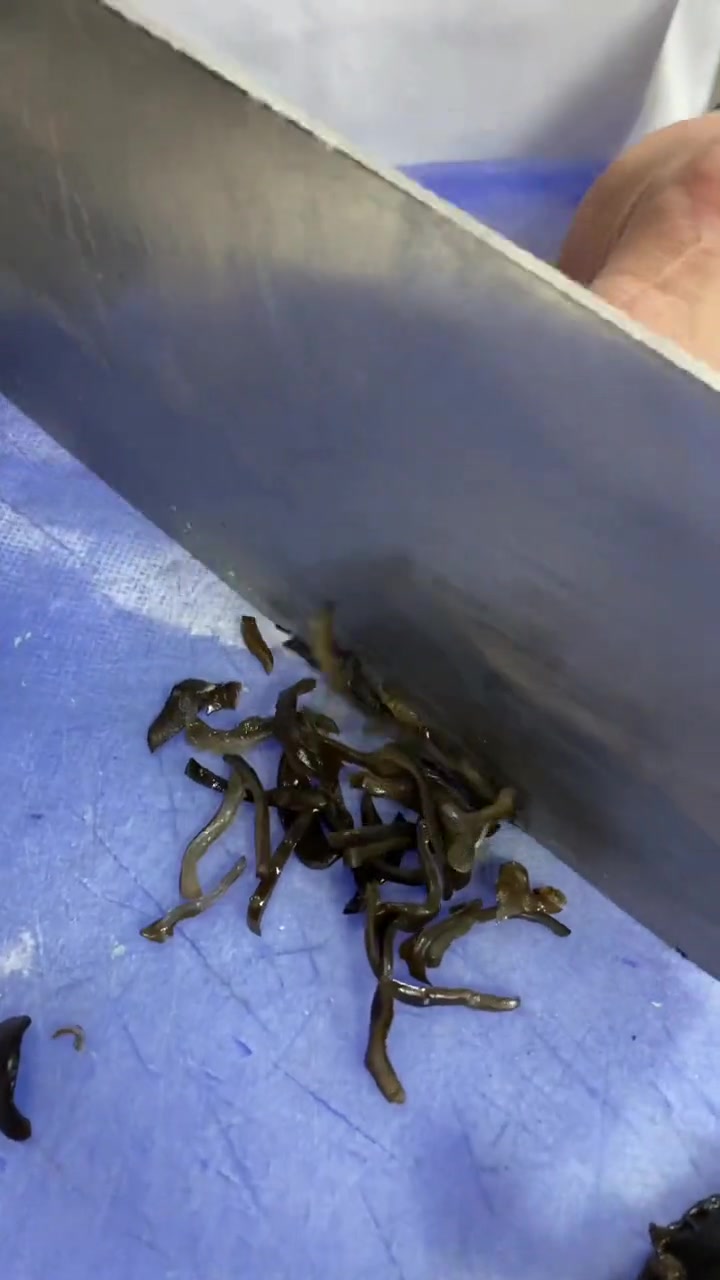 秋冬交替 酷热严寒,来一碗让你开胃又下饭的肉丝酸辣汤,让这个冬天不寒冷,有时间一定要尝试做
