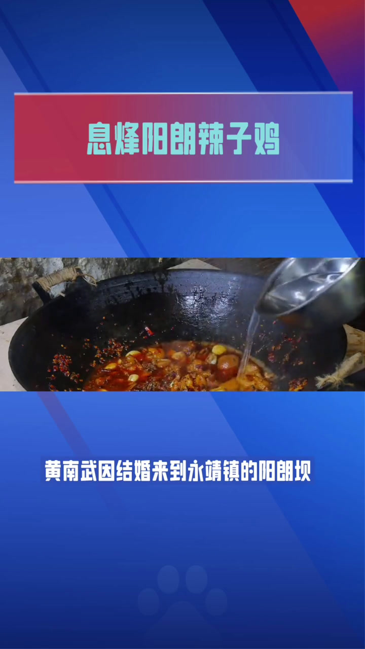 分享视频