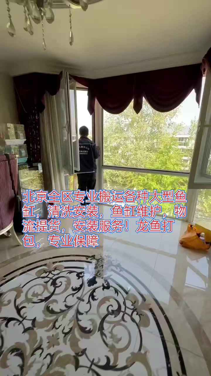 北京专业搬运鱼缸,清洗安装维护,回收二手鱼缸,龙鱼搬家