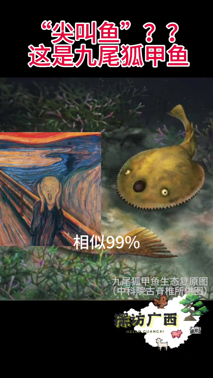 广西发现九尾狐甲鱼化石 每天跟我涨知识 考古发现 自然知识科普