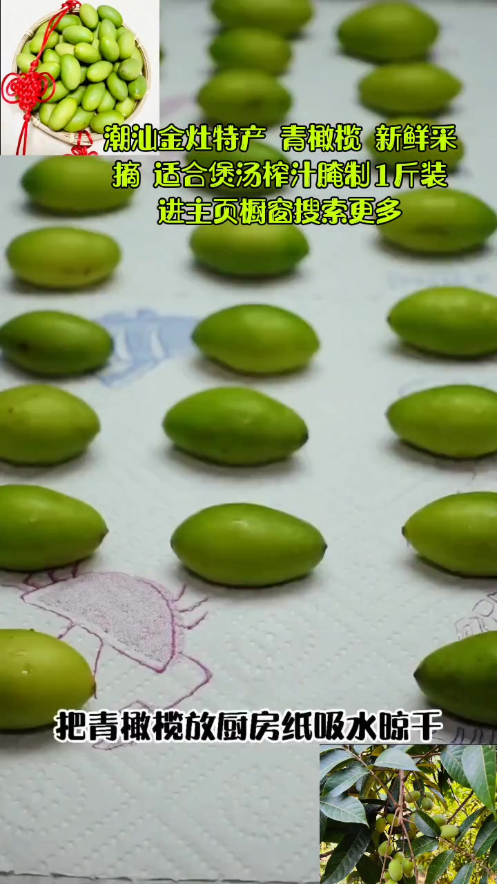 潮汕金灶特产 青橄榄 新鲜采摘 适合煲汤榨汁腌制1斤装