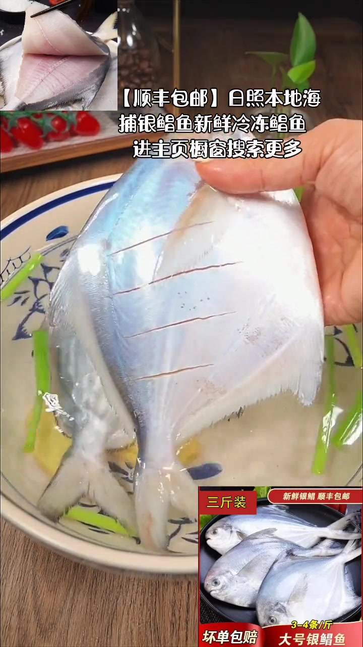 「顺丰包邮」日照本地海捕银鲳鱼新鲜冷冻鲳鱼