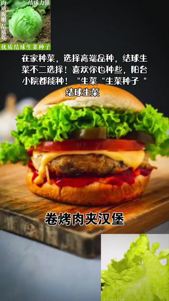 ࿆纯࿆天࿆然࿆绿࿆色࿆蔬࿆菜࿆ 四季结球生菜种子