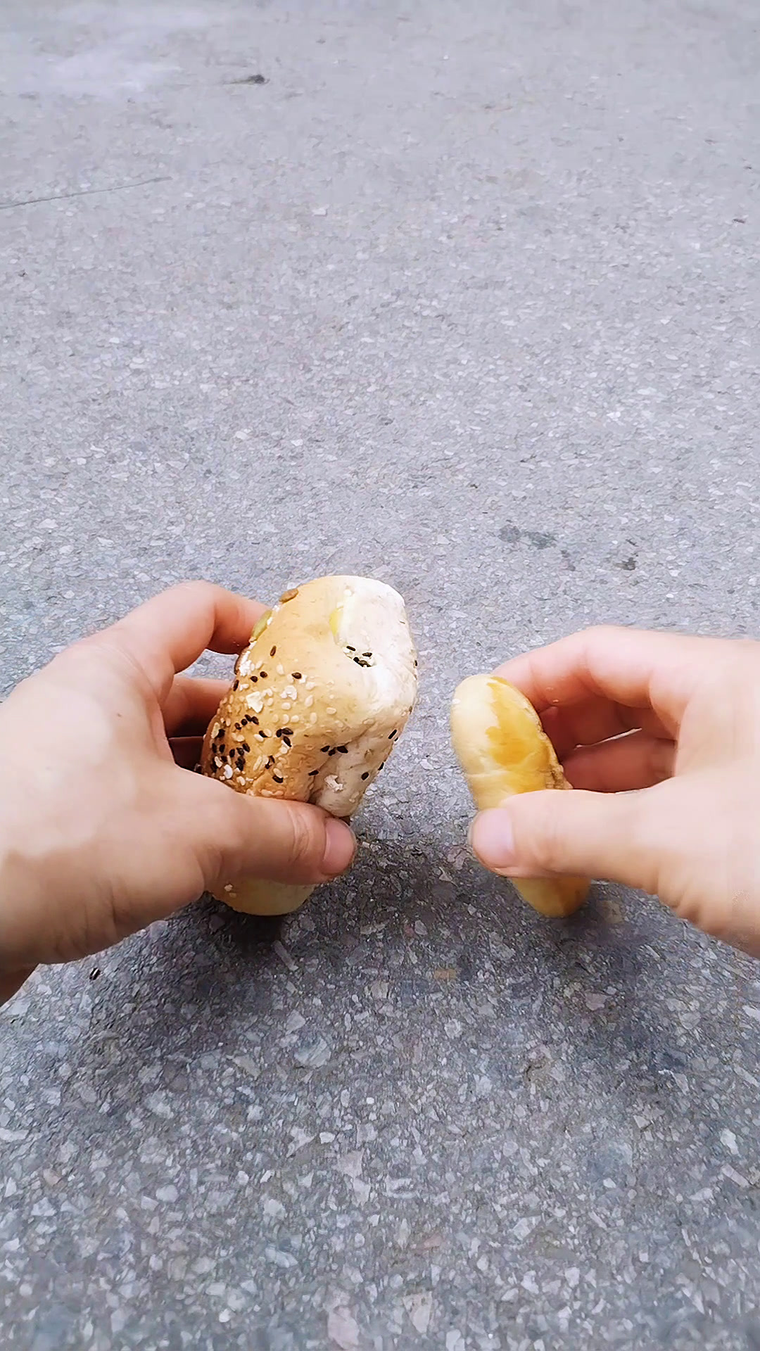 两个面包的创意照