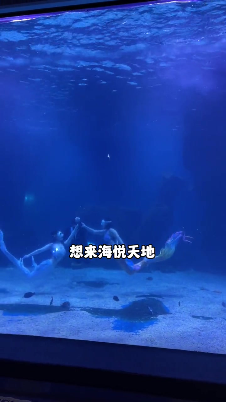 五一假期去哪里,室内遛娃来海洋公园吧,购票攻略来啦 亲子游玩好去处 五一宝藏遛娃地推荐 海