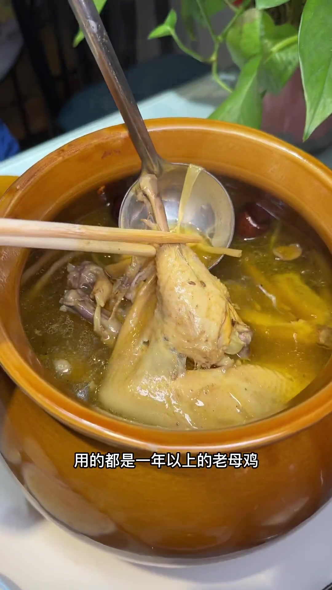 他家老母鸡汤可补了!哈哈哈 真实探店测评 美食 妈呀太香了 人间烟火