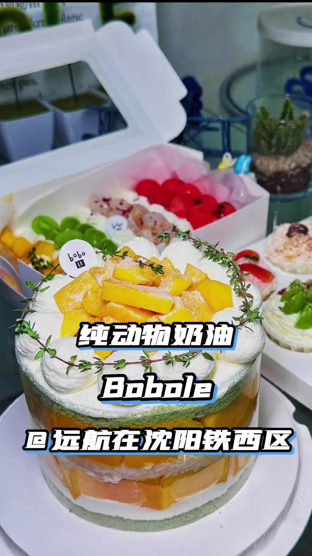 想吃蛋糕的别忘了来这家看看 11好物节 真实探店测评 仪式感不能少 网红蛋糕 蛋糕