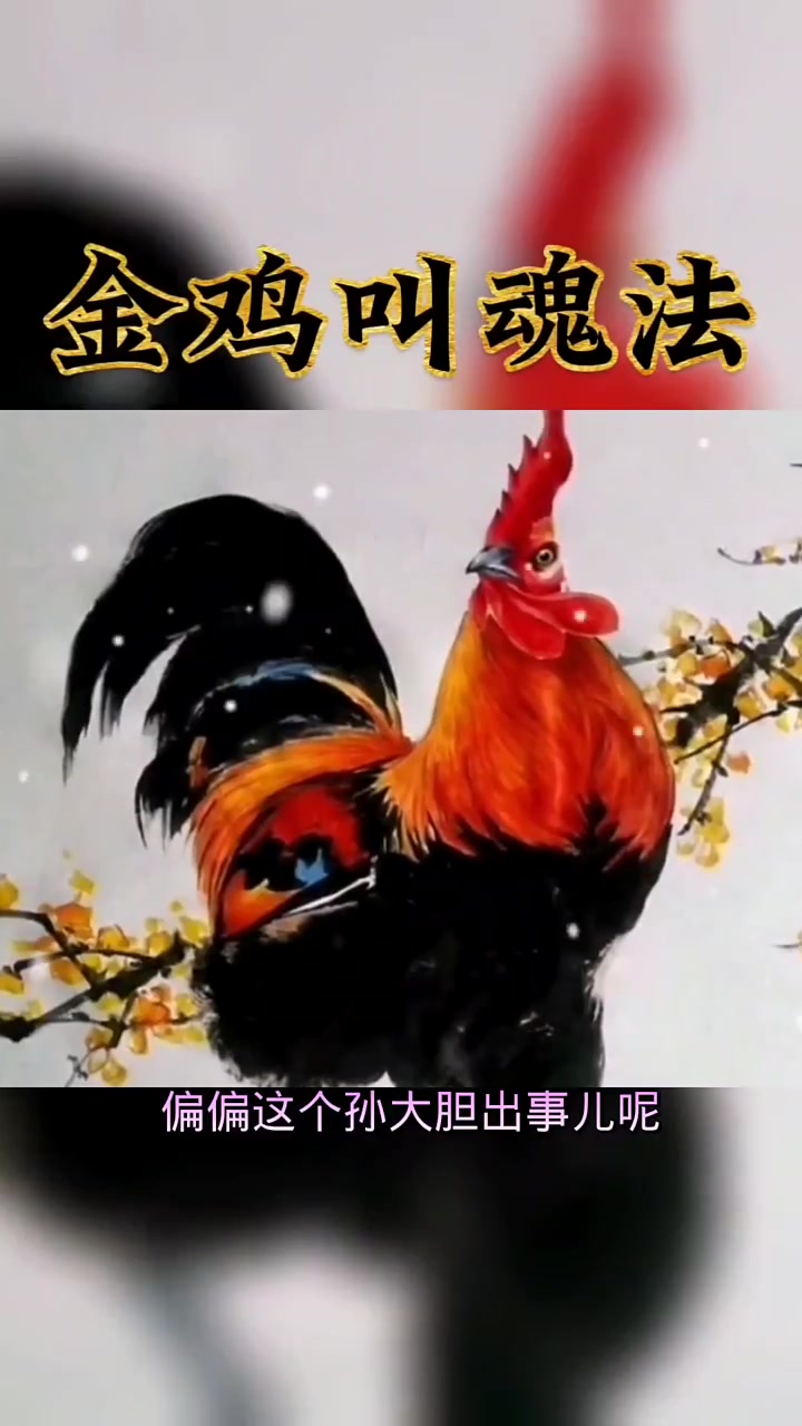 在民间信仰中,雄鸡能牵引太阳,有驱邪通天的神性,鸡啼则与光明相辅相成,所以无论在红白二事、