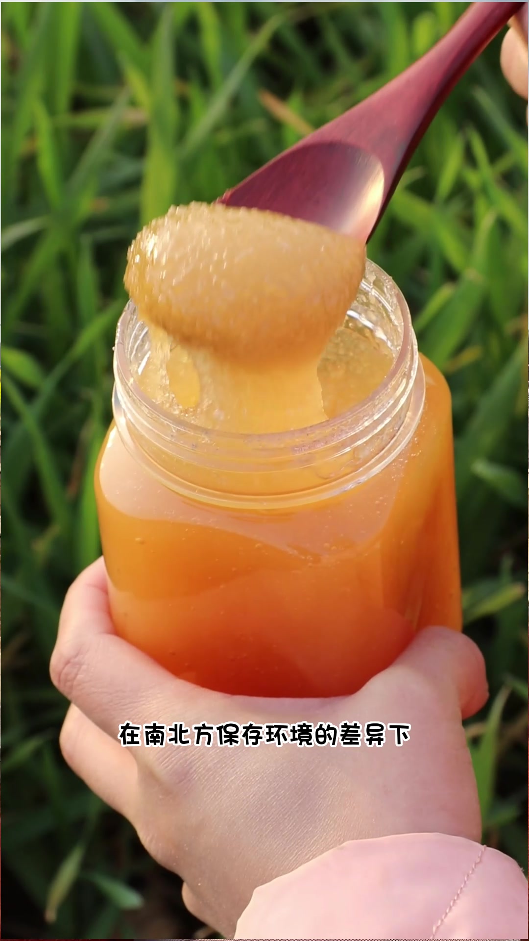 结晶的蜂蜜,如何才能辨别出真的和假的呢?