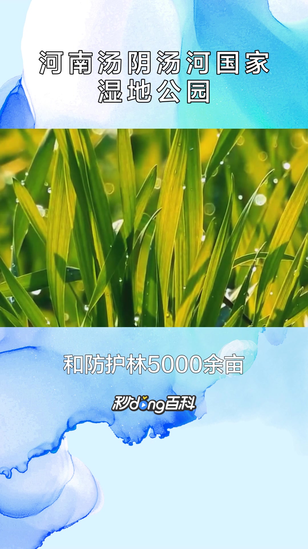 一分钟了解河南汤阴汤河国家湿地公园