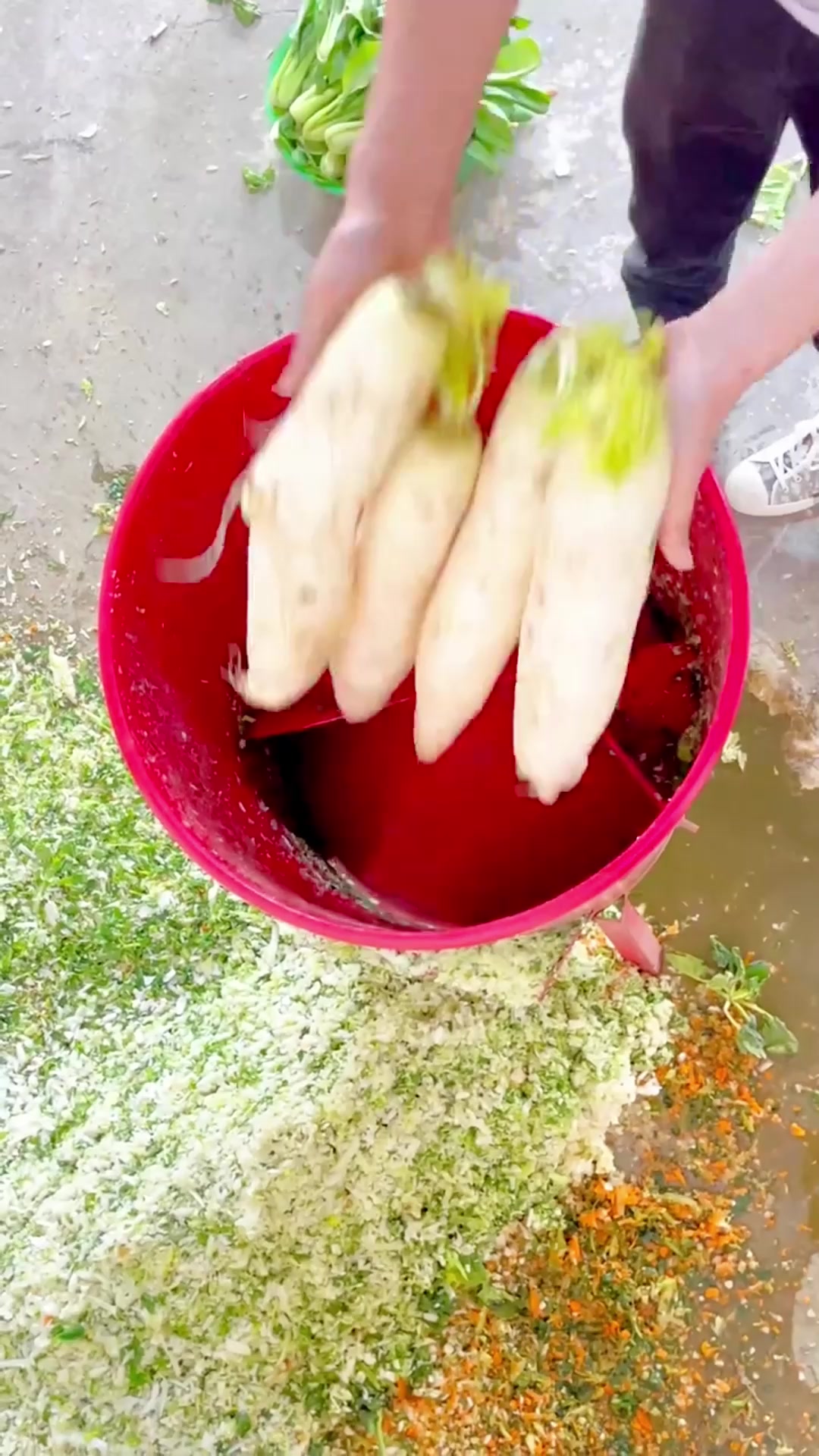 蔬菜瓜果切丝机 适用范围广泛