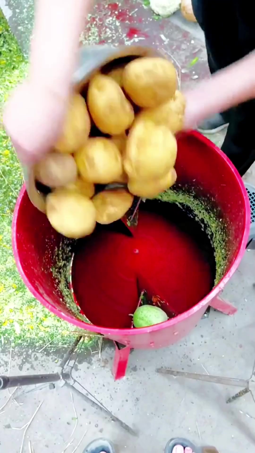 瓜果蔬菜切丝机 好用不贵