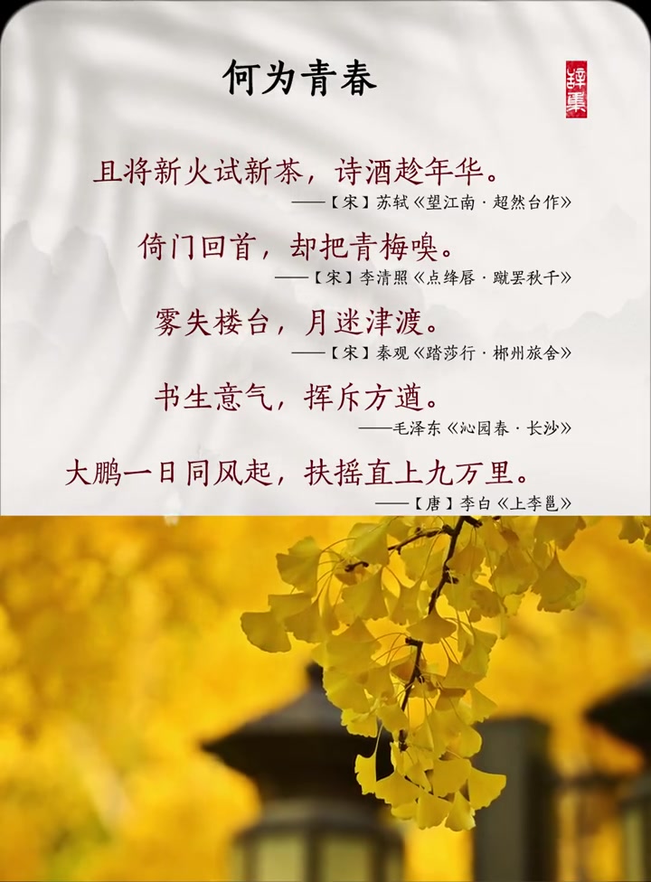 何为青春?人生向上,做好当下,未来可期!佳句欣赏 古诗词经典唯美名句 五四青年节快乐 心若