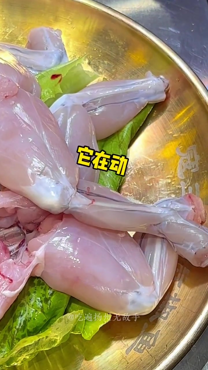 爱吃鱼的宝子们!江团鱼超级细嫩!还没什么小刺,吃起来超级过瘾～寇多金在望月路也可以啦～没有