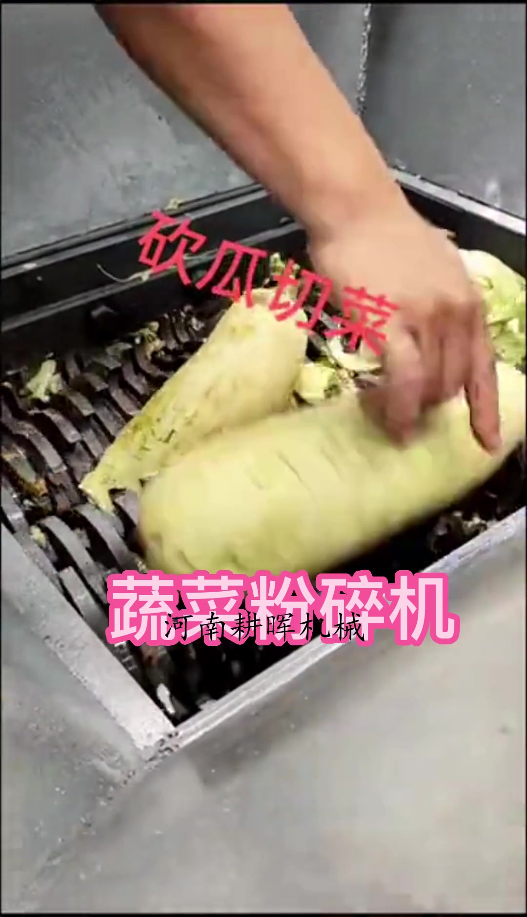 蔬菜垃圾粉碎机 烂瓜果撕碎机 土豆菜叶切碎机