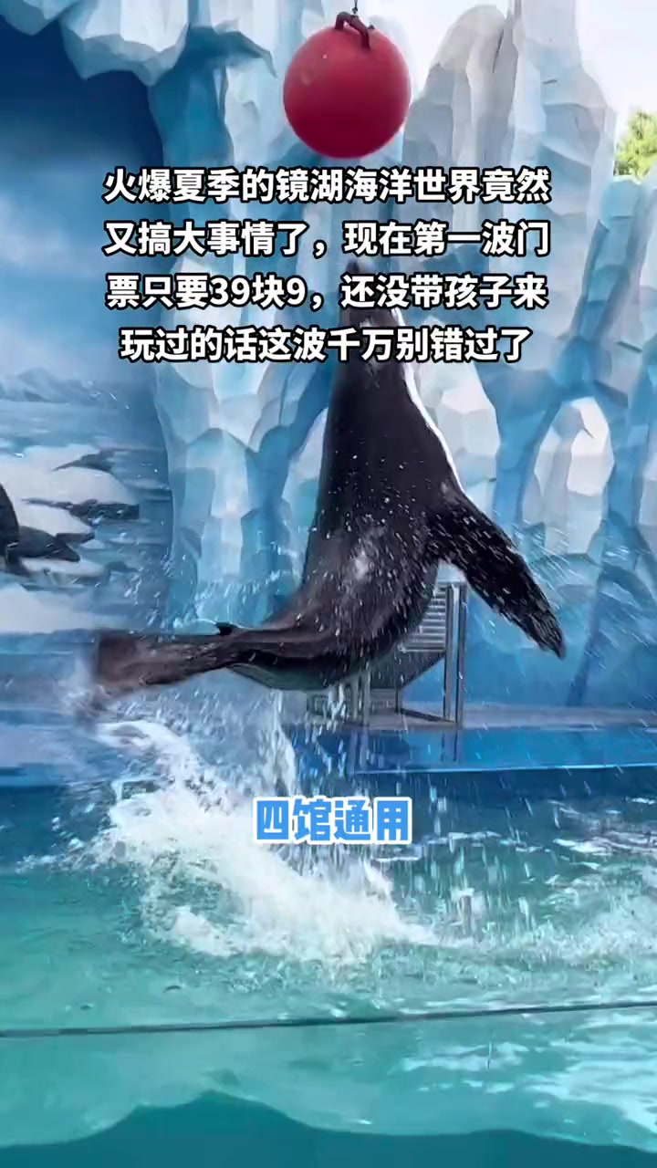 假期不知道去哪里玩就来海洋世界 海洋馆 海底世界真奇妙 亲子游玩好去处 海洋世界打卡