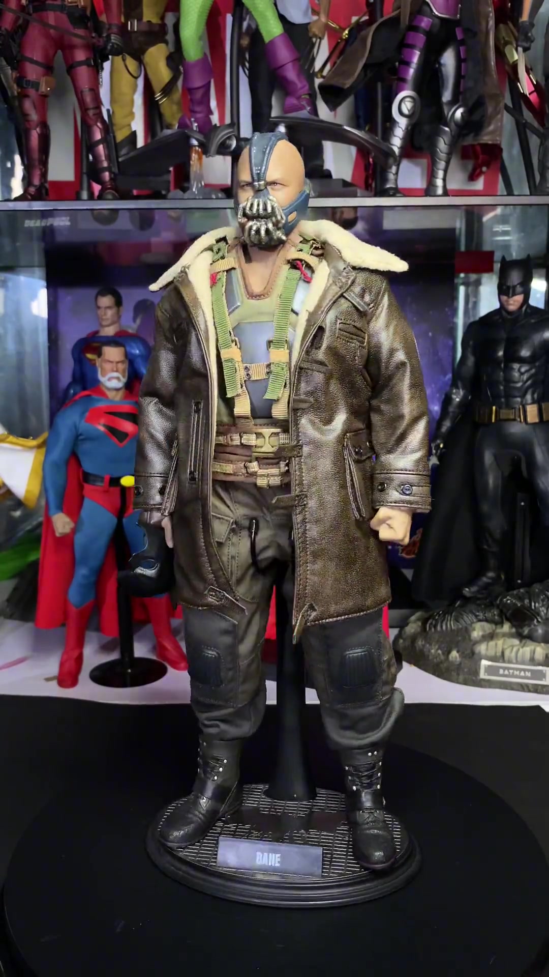 Daftoys1/6贝恩 手办 模型