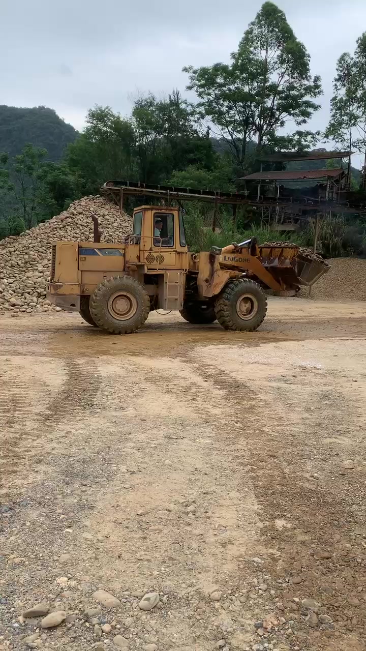 鹅卵石设计庭院元素,园林路面工程建筑,彩绘鹅卵石