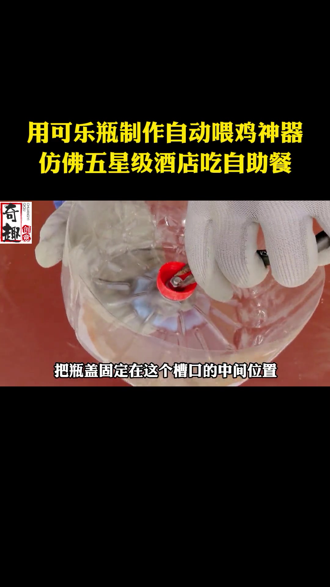 利用可乐瓶,就可以制作全自动喂鸡神器,几天不回家鸡都不会饿,这一发明绝了!手工制作 手工d