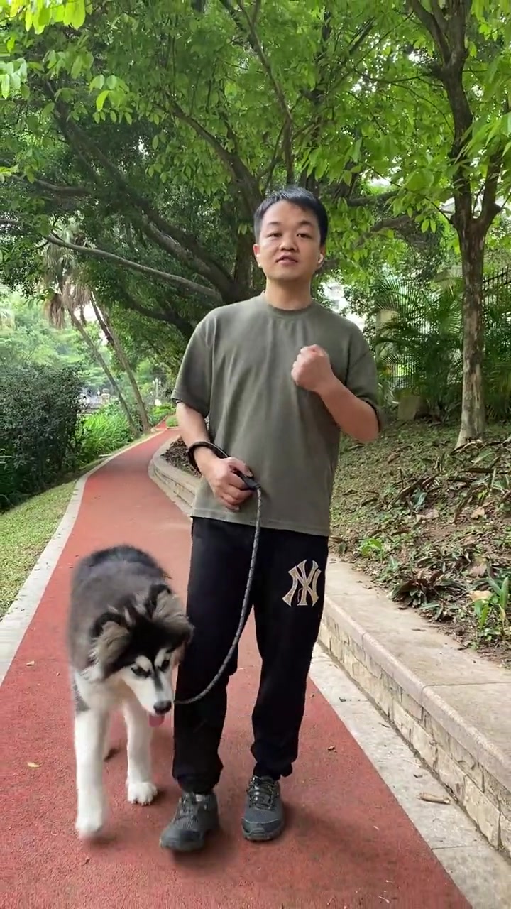 狗狗经常蹭屁股,在地上摩屁屁,是什么原因,应该怎么处理?狗狗心理学 科学养宠攻略 训犬 训