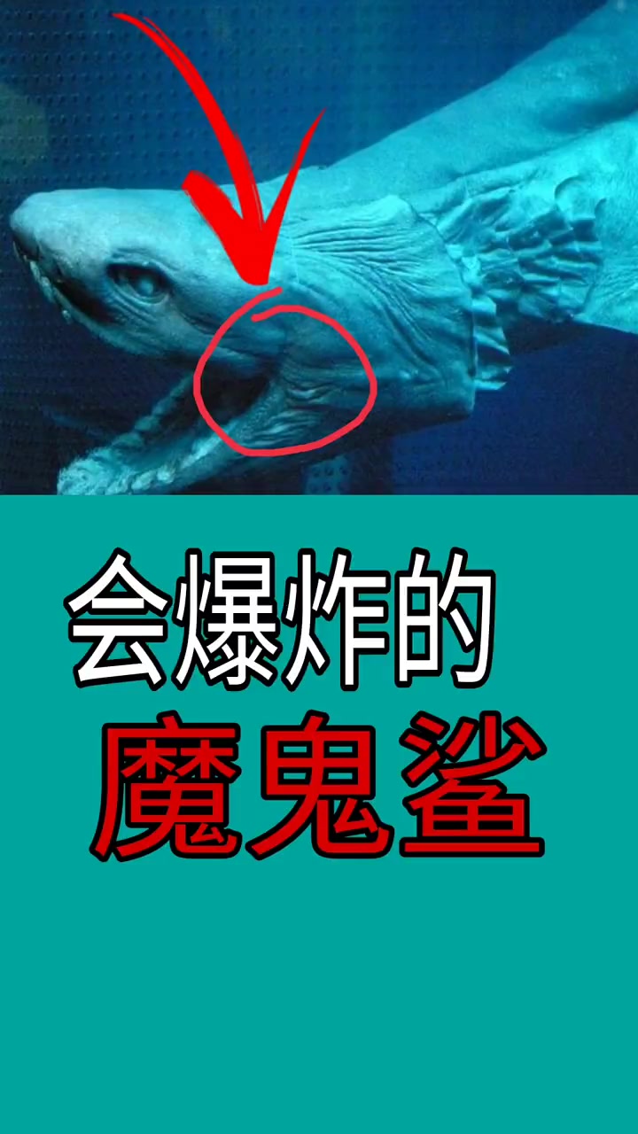 众所周知,现在的飞机,坦克之类的军事重要武器都会安装上自爆装置,以防被敌人擒获。但有一种生