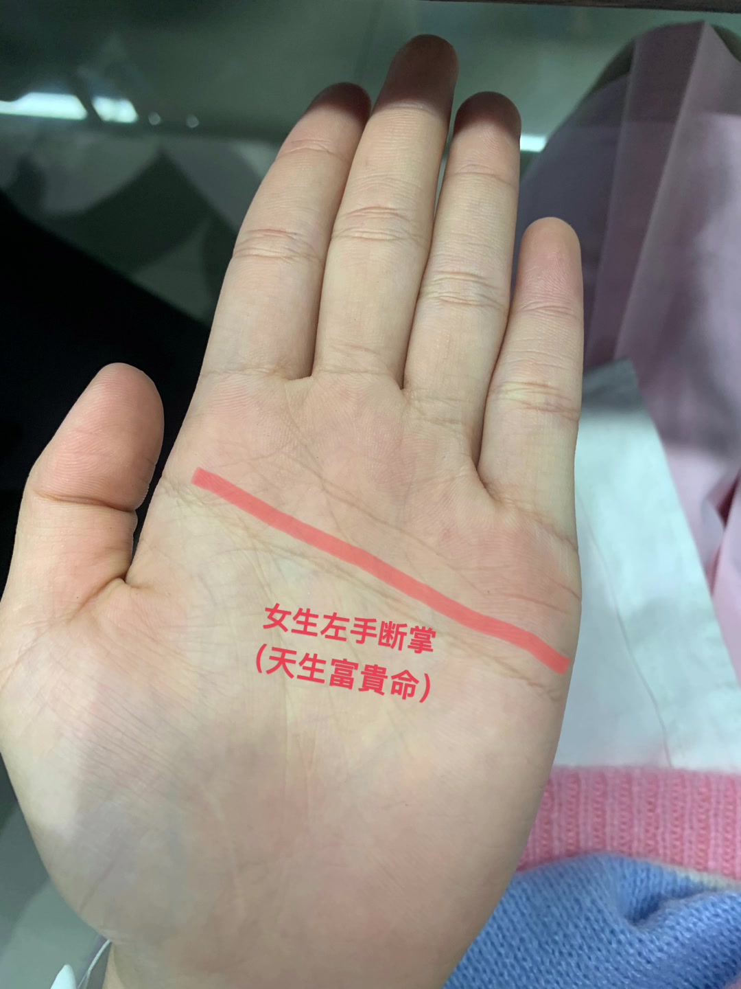 女人左手断掌   其实意味着她的掌财库丰厚