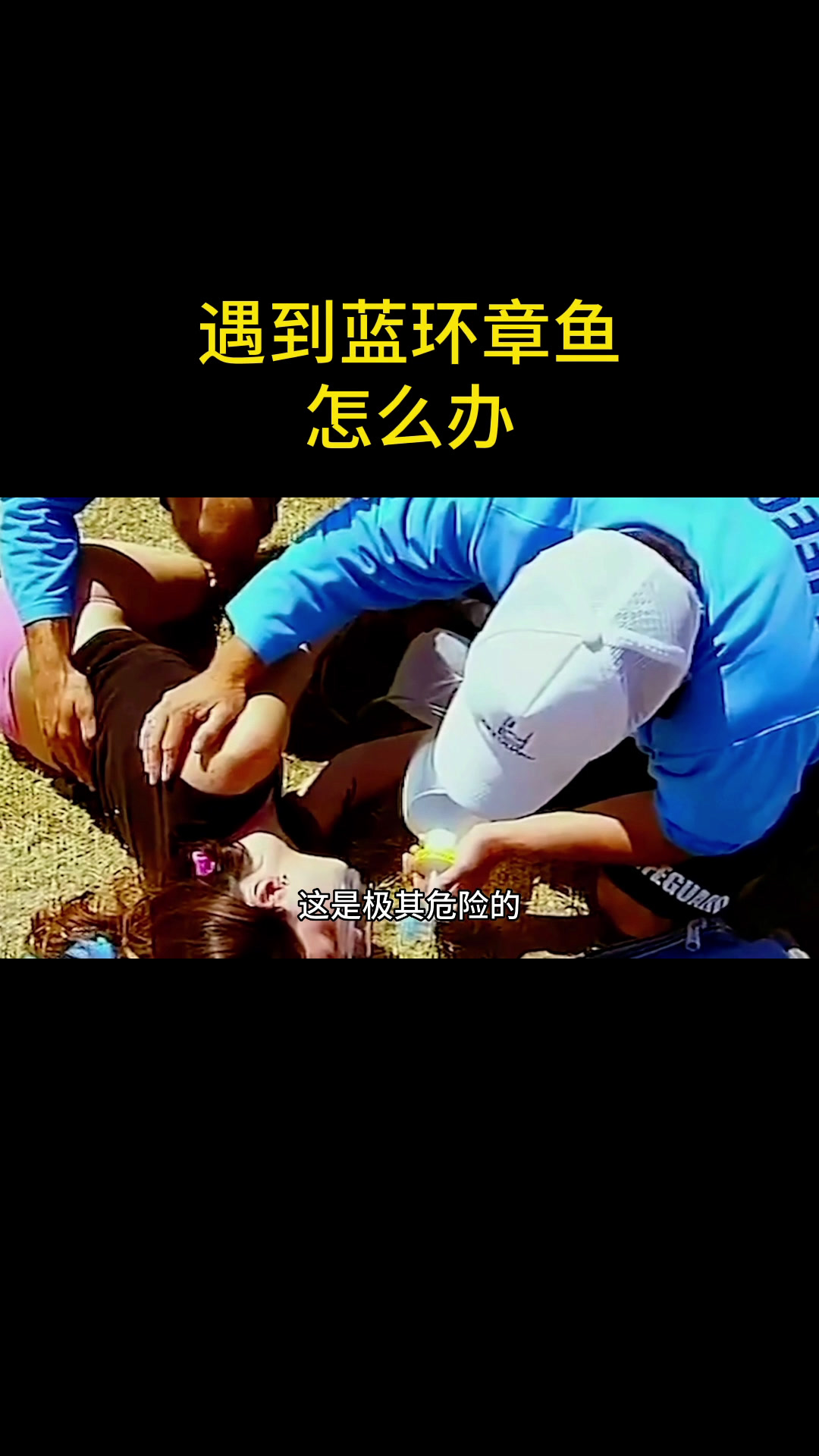 遇到蓝环章鱼怎么办