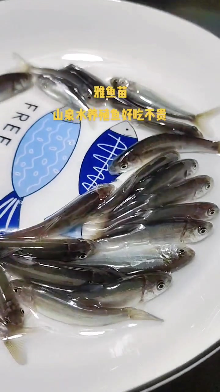雅鱼苗、齐口裂腹鱼、细甲鱼苗、齐口细鳞鱼苗四川省雅安市特产。雅鱼是生长在雅安的名贵冷水鱼,